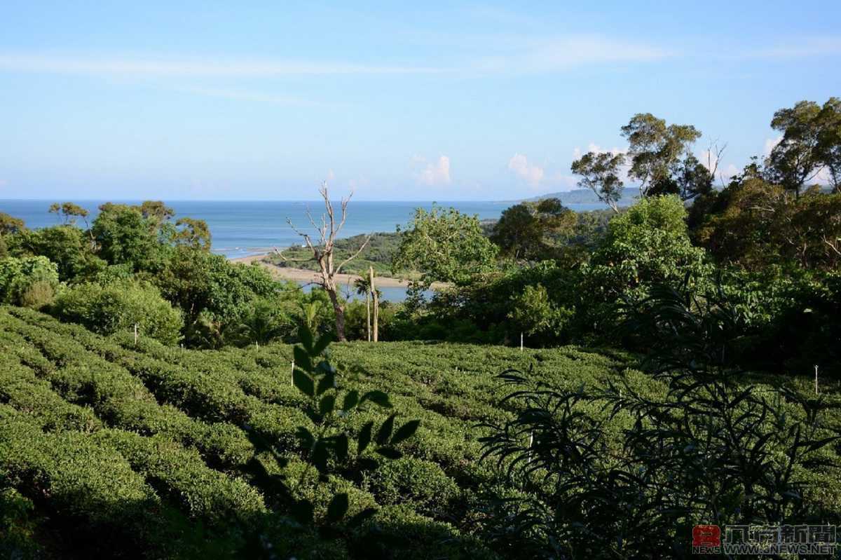 滿茶古道重現，生態人文好體驗 滿州鄉深度旅遊新興熱點