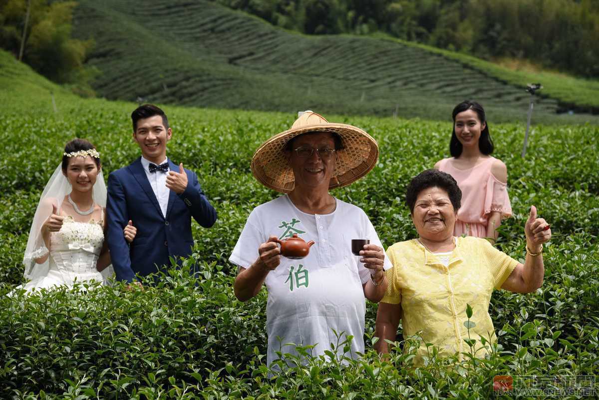 茶博會10月6日登場 縣長林明溱拍廣告代言宣傳