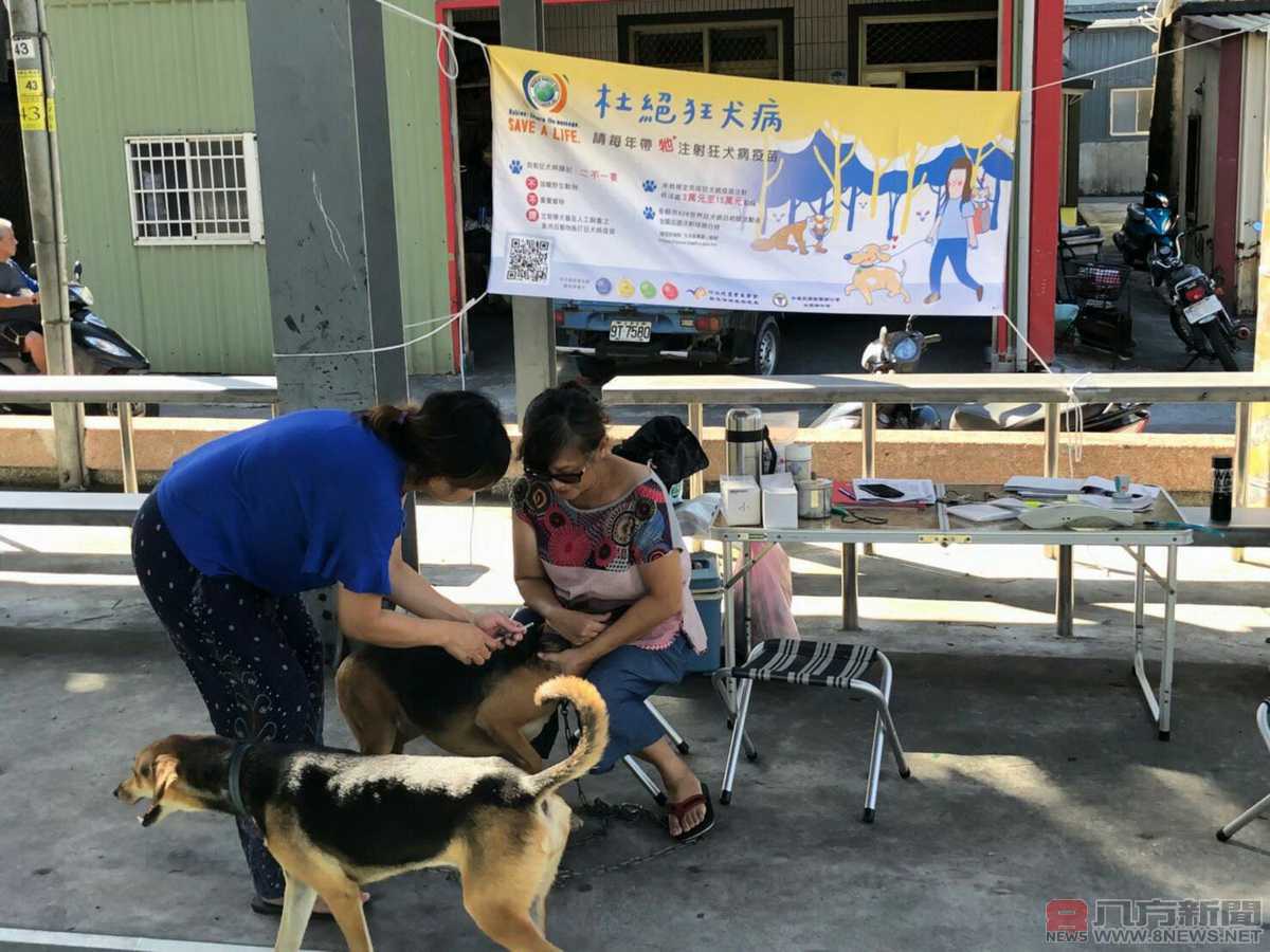 宜蘭寒溪東亞家蝠檢出麗沙病毒 呼籲民眾勿接觸蝙蝠等野生動物