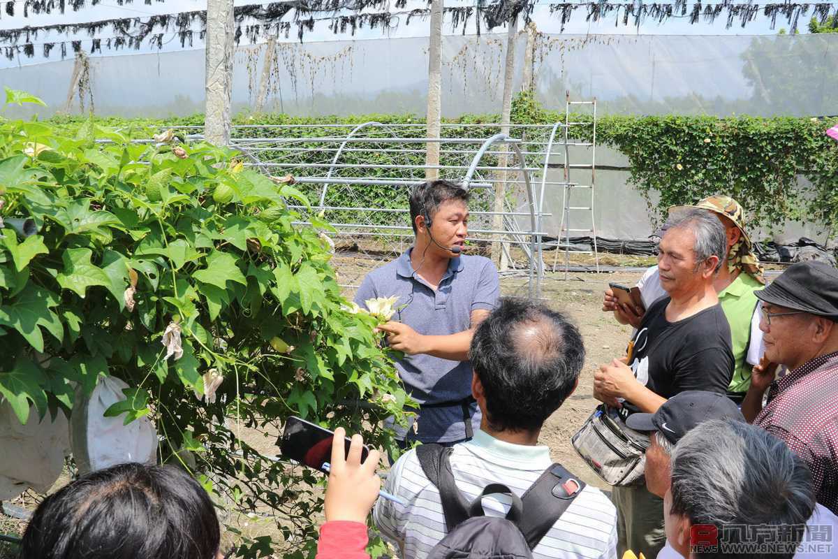 台東農改場ｘ青農ｘ七里坡養生料理餐廳 攜手推廣百搭果王 木虌果