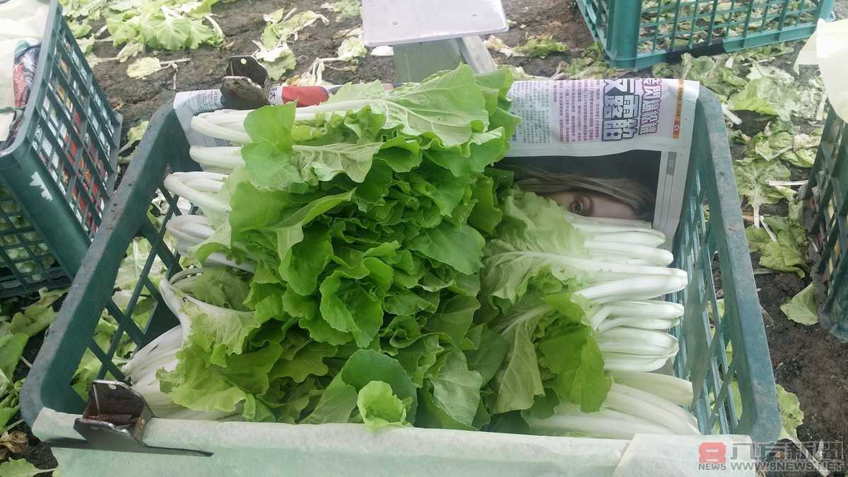 帶頭食用當季蔬菜 雲林縣府為縣內國中小營養午餐及長青食堂加菜