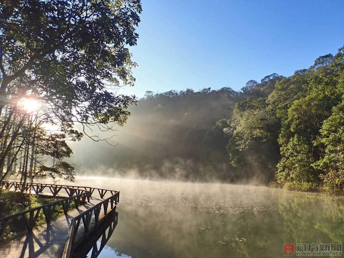 魚草共生－福山植物園保育生態有撇步