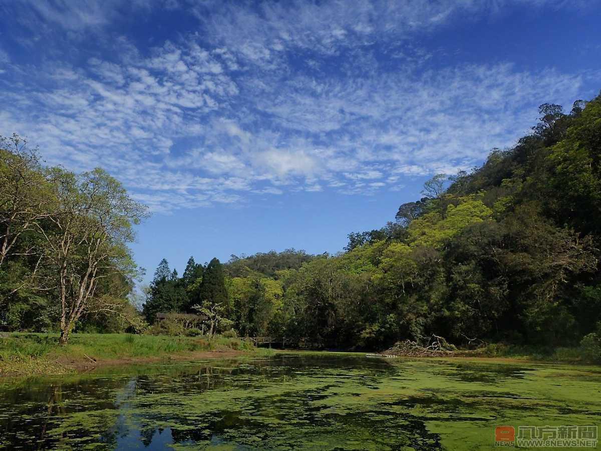 魚草共生－福山植物園保育生態有撇步