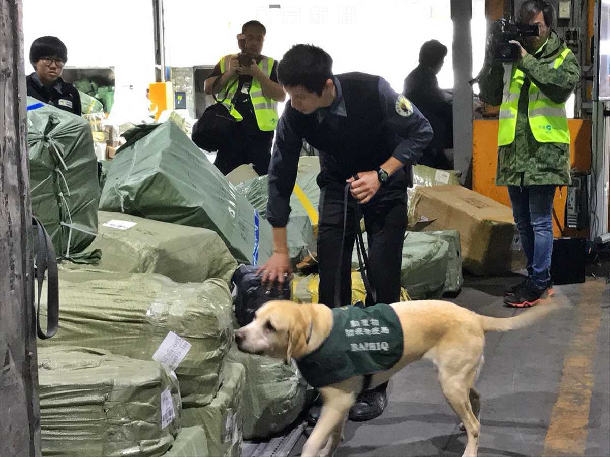 因應中國大陸非洲豬瘟疫情擴散 農委會林聰賢主委今日赴桃園機場視察快遞貨物查檢作業