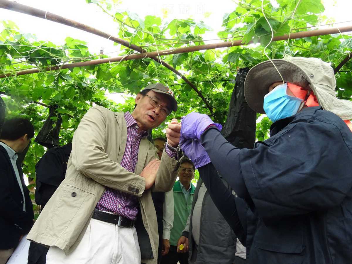 高屏地區農業技術團 解缺工 傳技術 顧老小 農村社區發展貢獻多