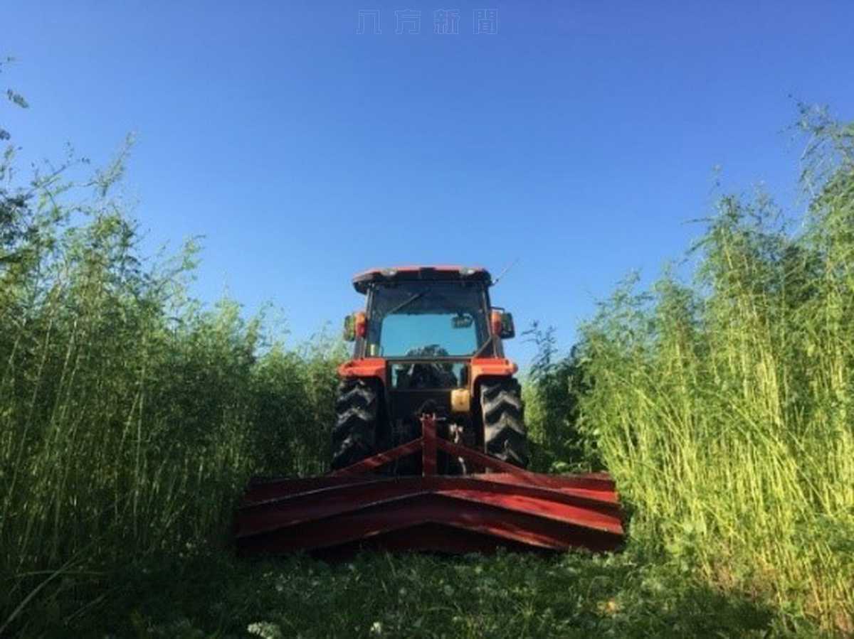 引進全國首部 覆蓋作物滾壓機+免耕（不整地）播種機 新耕作模式的省工好幫手
