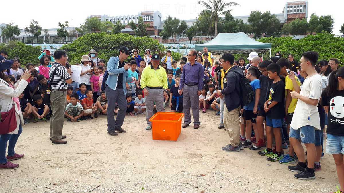 海洋保育總動員 海龜回家樂團圓