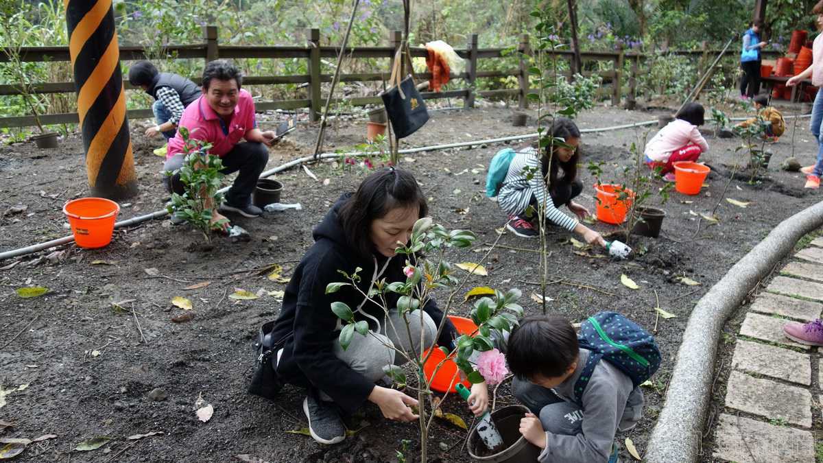 延伸島嶼生命綠 瑞龍瀑布種樹