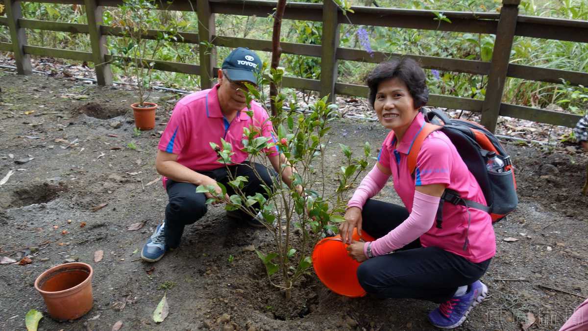 延伸島嶼生命綠 瑞龍瀑布種樹