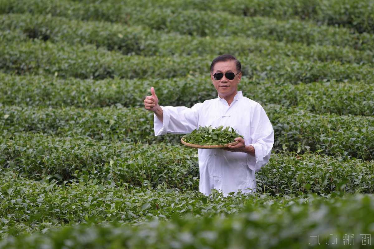 喝好茶找茶伯　南投世界茶葉博覽會將於10月登場