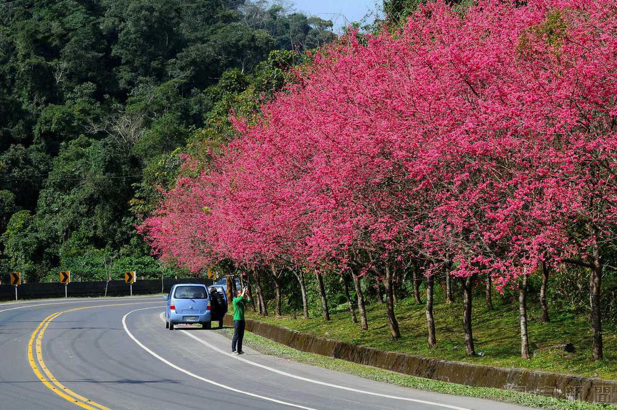 哪條公路是你心中的No.1？台灣最美十大景觀公路票選啟動！