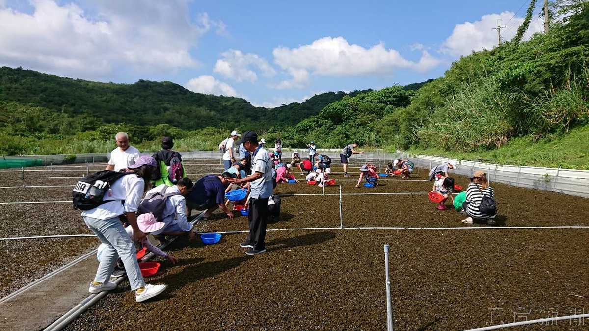 抗肺炎 小墾丁推一日農夫採菇樂好療癒