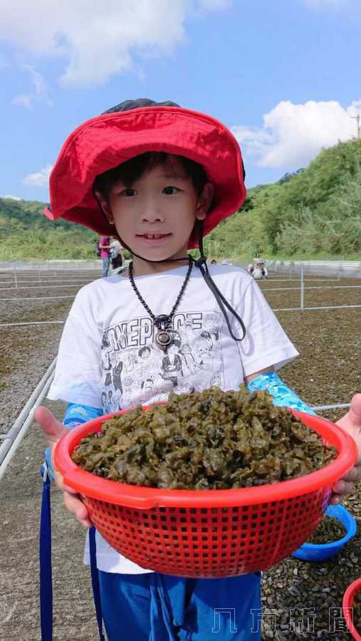 抗肺炎 小墾丁推一日農夫採菇樂好療癒