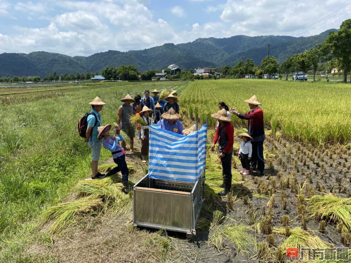 穀滿穗夏慶十年 宜蘭行健有機稻穗節即日起登場