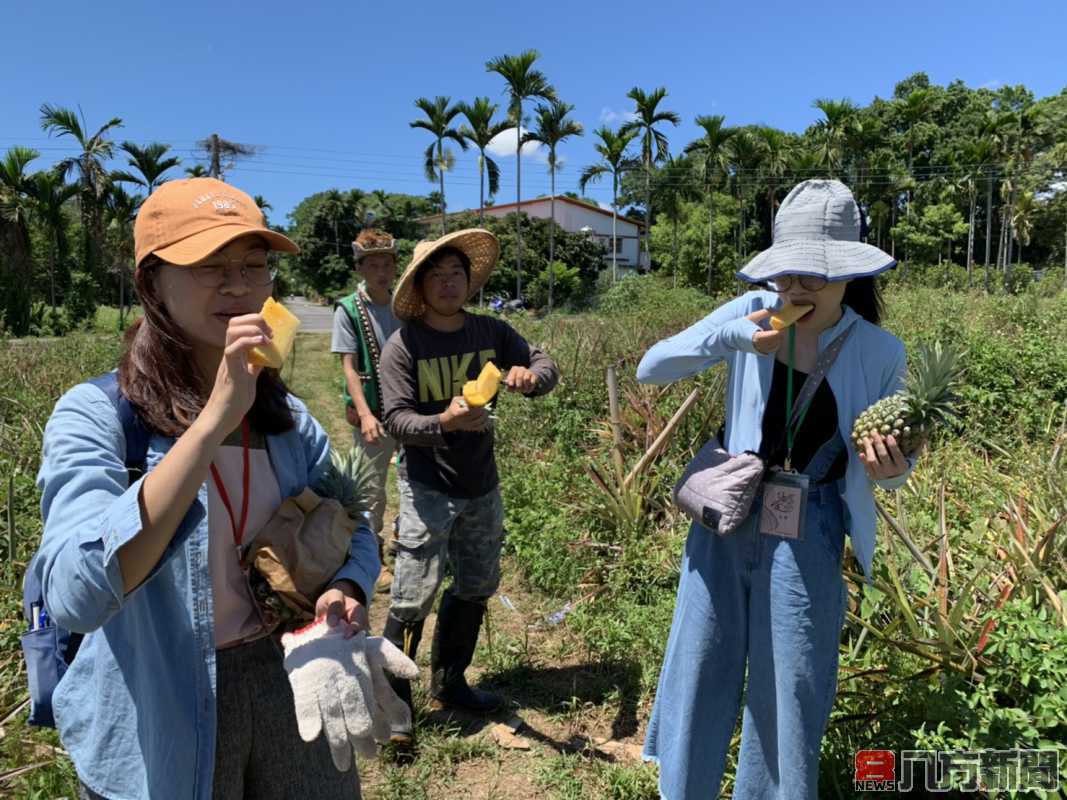 島內出國夯 來趣台東振興消費悠遊農村 三倍好玩在台東