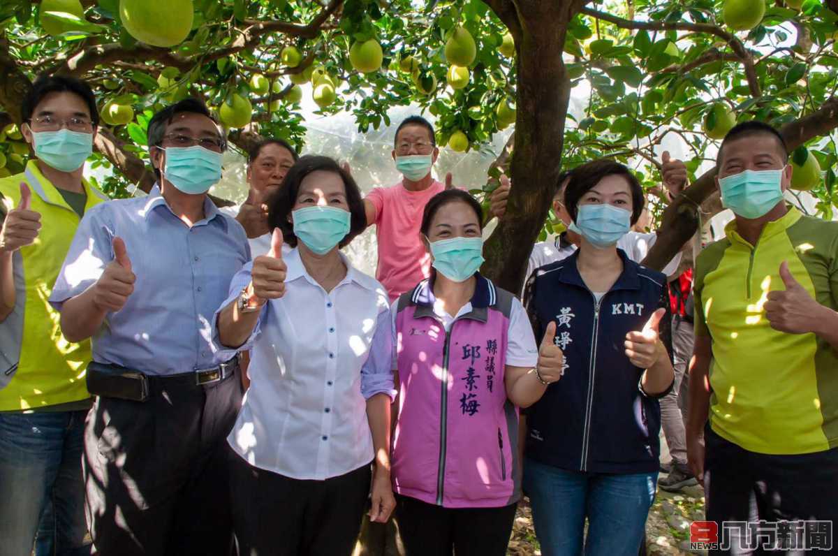 柚見幸福 披婚紗的文旦柚甜蜜上市