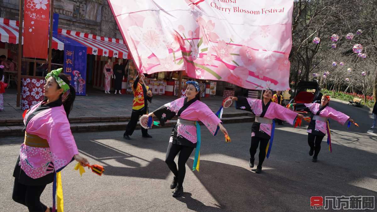 九族櫻花祭開跑 公佈最佳賞花期 絕不錯過粉紅小旅行