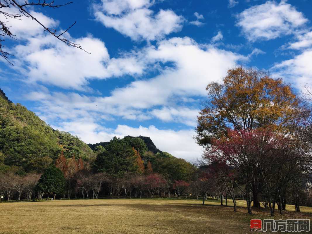 奧萬大除夕休園 新春賞櫻納福迎金牛