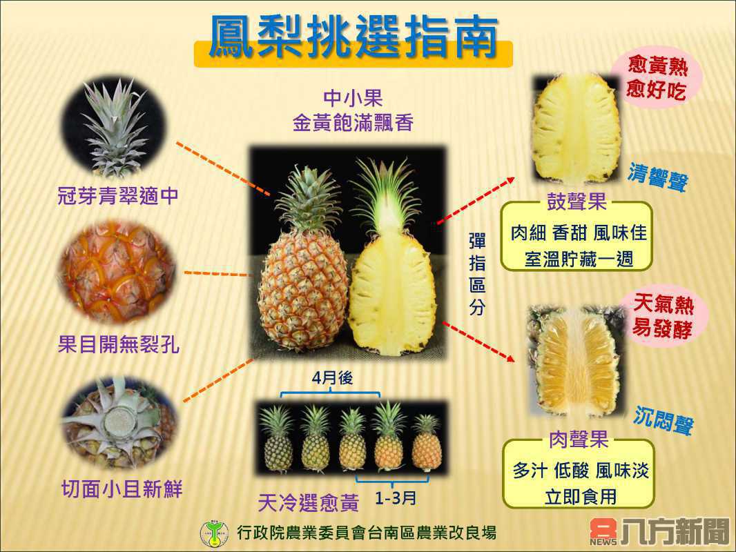 鳳梨酸甜好滋味 挑選秘訣大公開