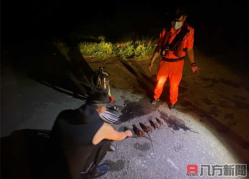 再度查獲！保育區1日2起違規 海巡署嚴查取締函送