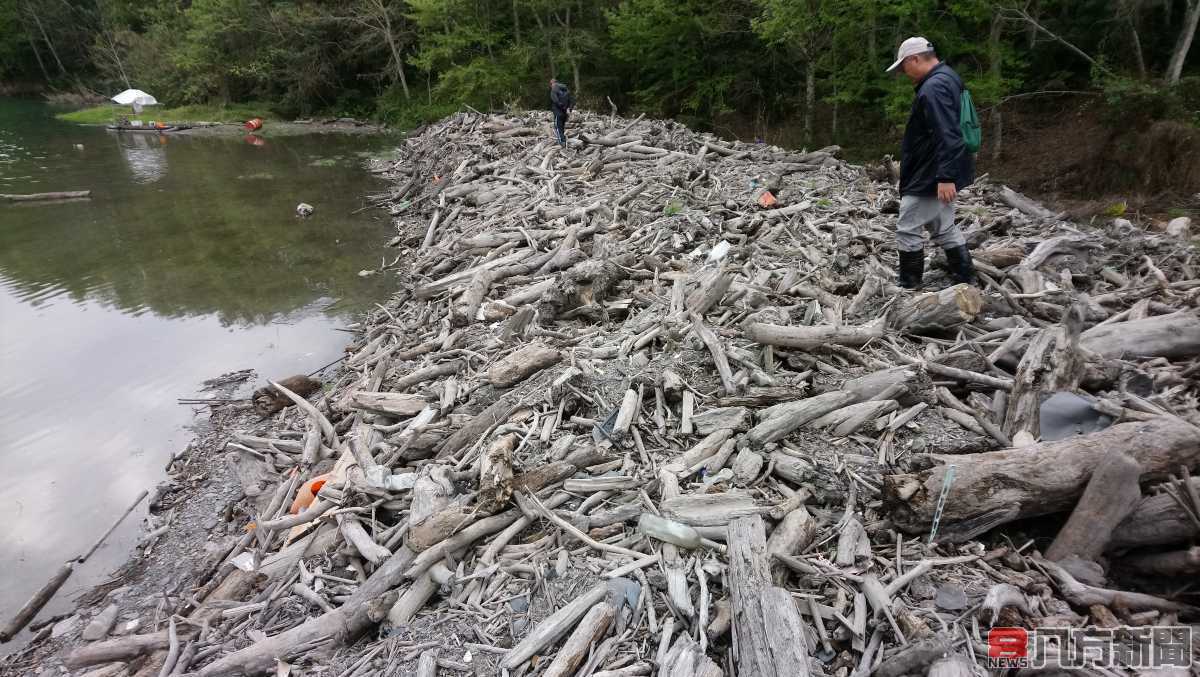 颱風過後撿拾漂流木 小心觸法