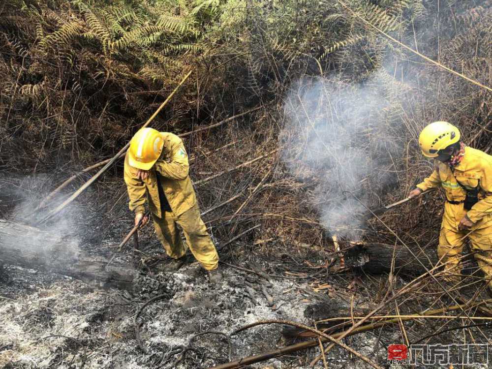 南投林管處春節期間持續加強巡護 並呼籲過年踏青不惹火