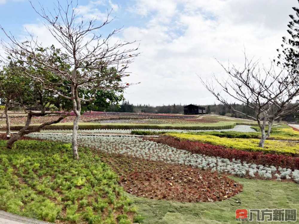 「虎虎生風賀新春」澎湖休憩園區花海熱鬧過新年