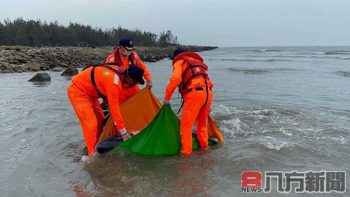 抹香鯨闖龍宮  海巡搶救仍不治