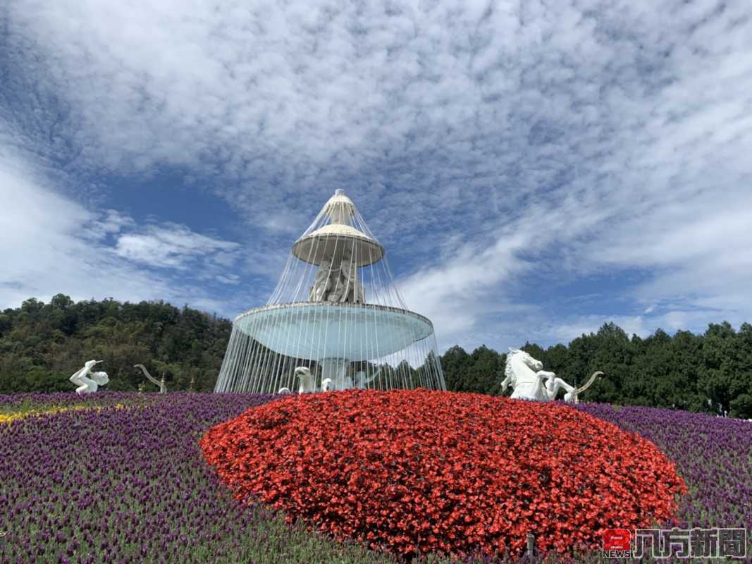 春假四連休 九族文化村萬坪薰衣草花園萬紫千紅迎賓接客