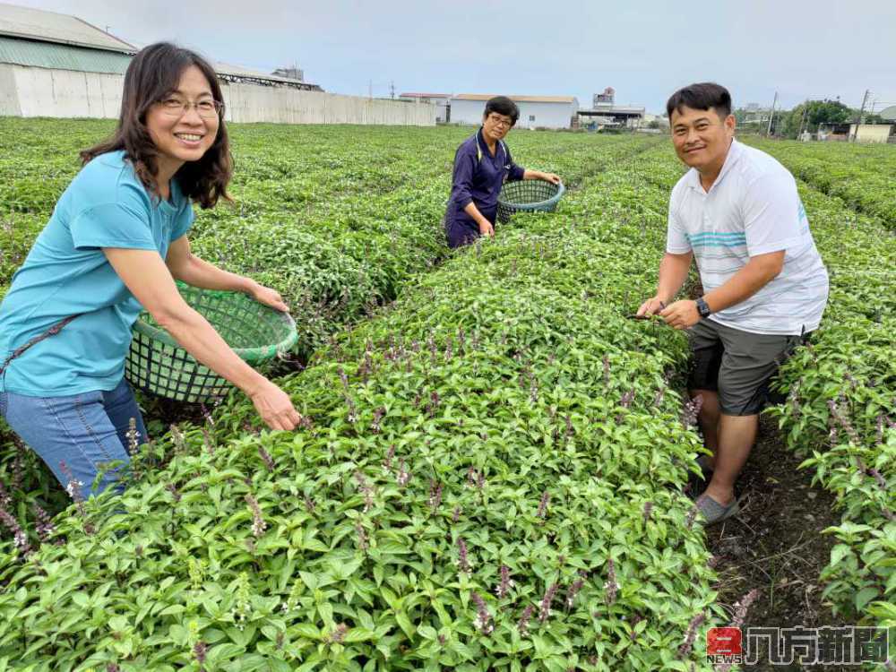 母親節籲返鄉拚百萬年薪 樸作良食公開徵求契作戶