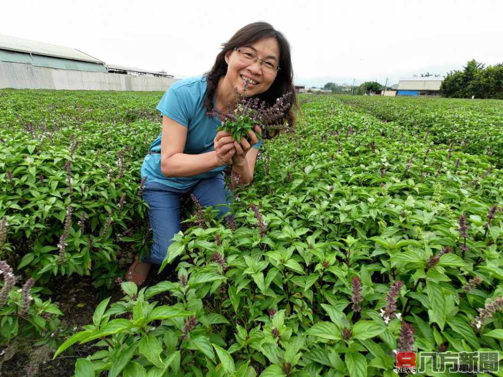 母親節籲返鄉拚百萬年薪 樸作良食公開徵求契作戶