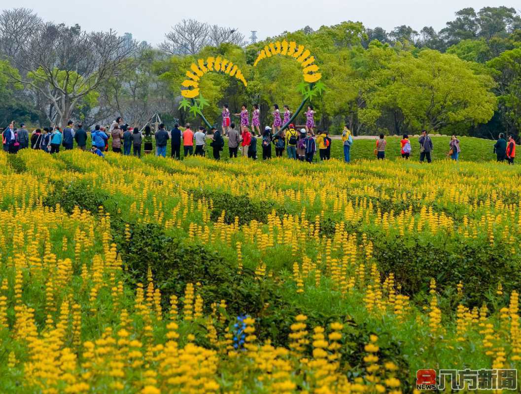 「開源節流、藏水於農」苗栗市八甲示範茶區榮獲園冶獎