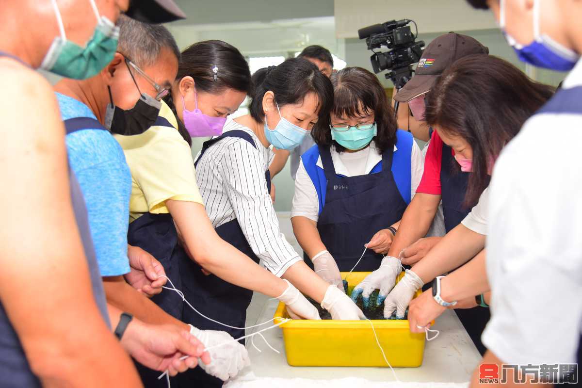 多元族群親子樂遊台灣工藝文化園區 體驗藍染生活美學