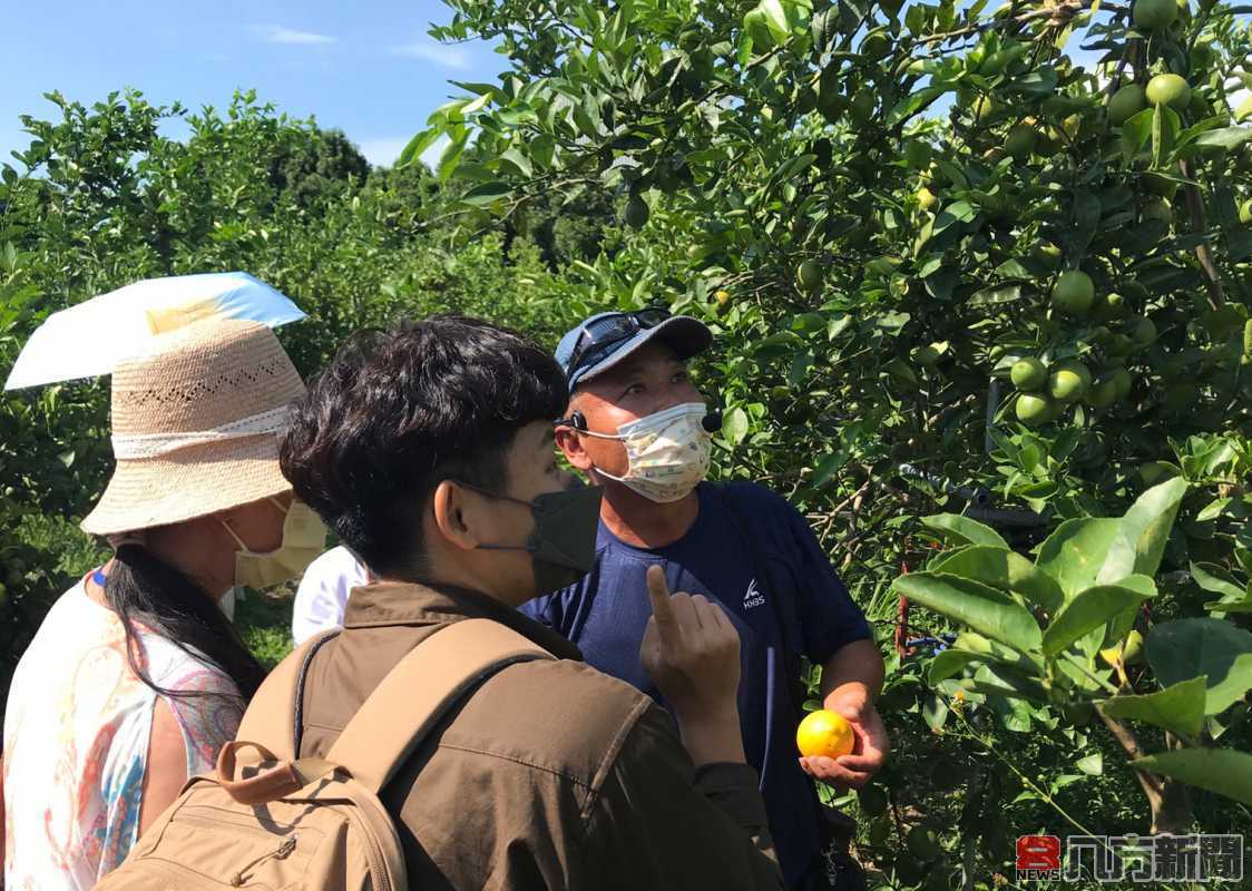 推薦中苗優遊行旅 沉浸苑裡山腳藺草香 享受外埔水流東果香饗宴