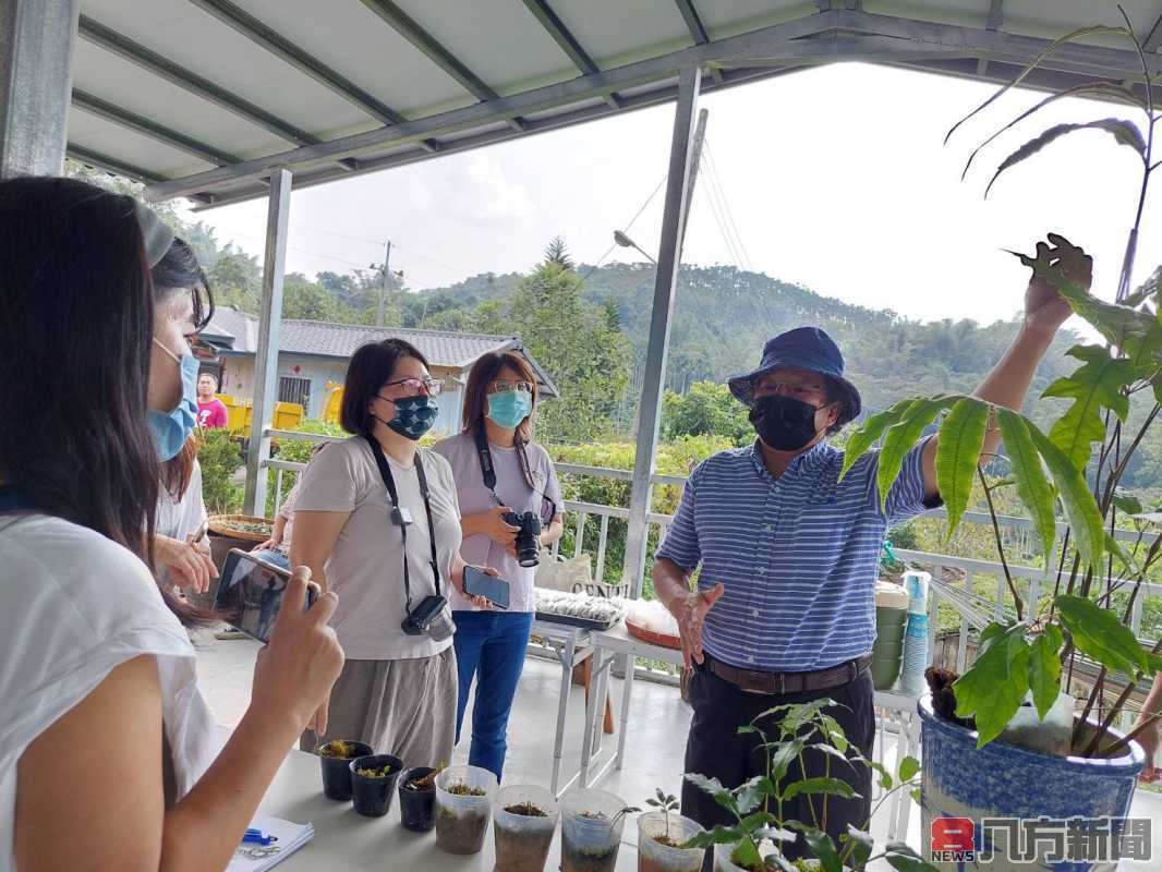 林務局輔導 社區發揮在地力量 伊藤氏原始觀音座蓮復育成功