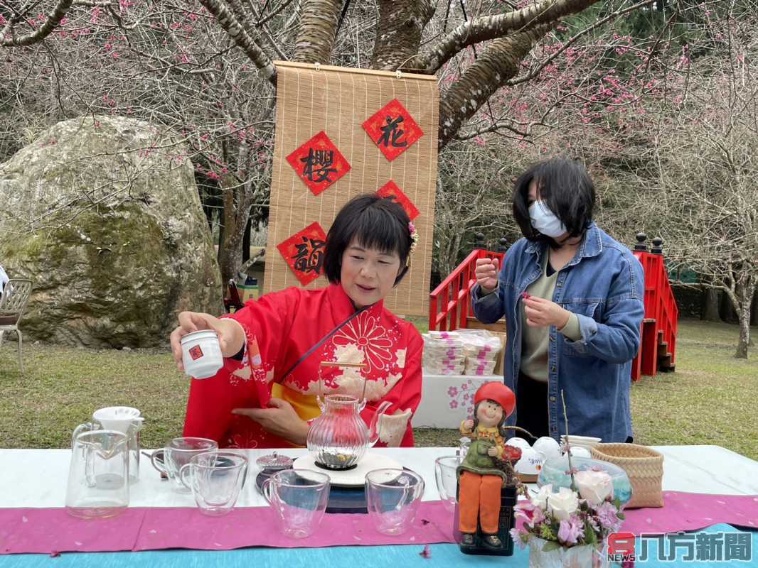 台灣最大賞櫻盛會 九族櫻花祭2月6日正式登場