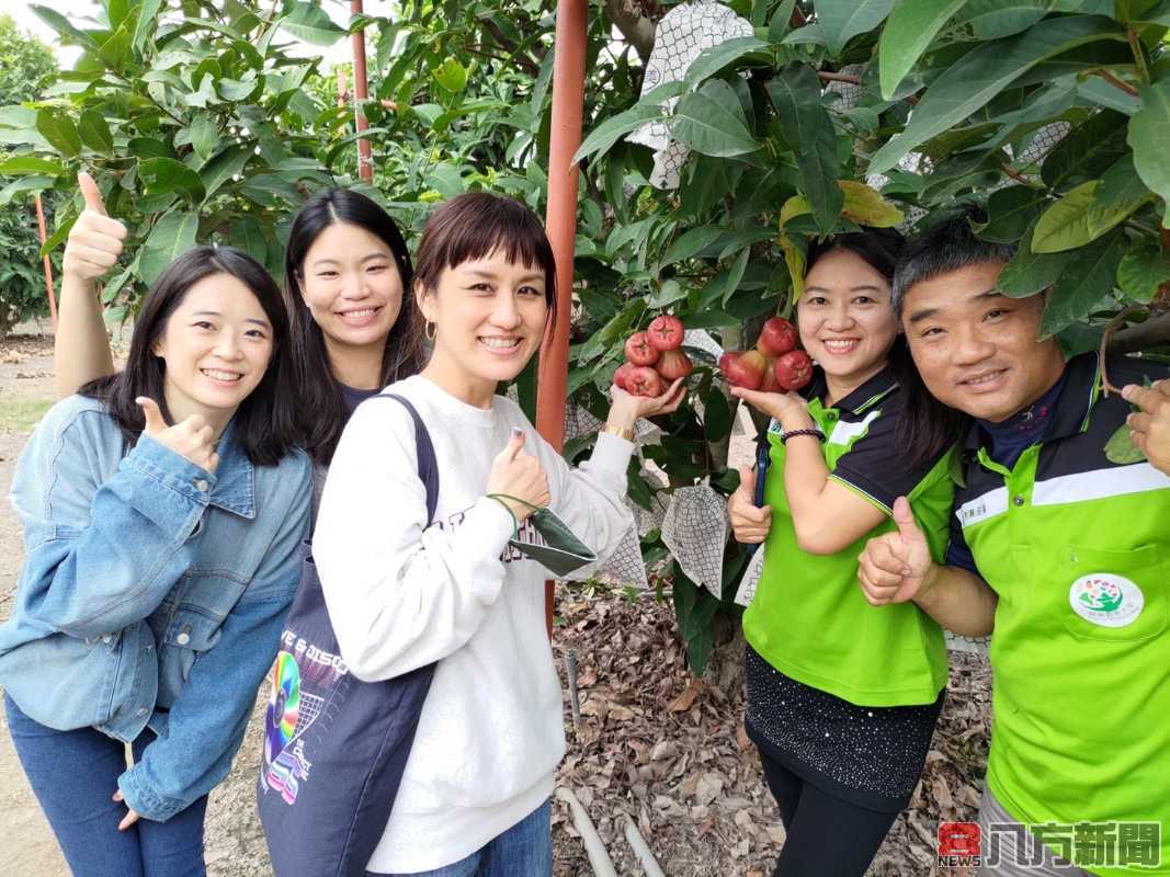 LINE推數位轉型 枋寮芳興莊園與阮家茶坊天空餐廳獲「特優店家」