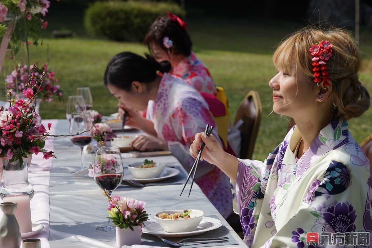 來九族櫻花祭 品嚐櫻花饗艷