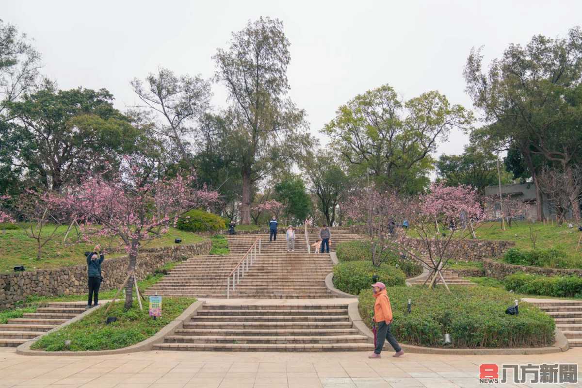 高虹安市長揪市民周末來新竹公園追櫻