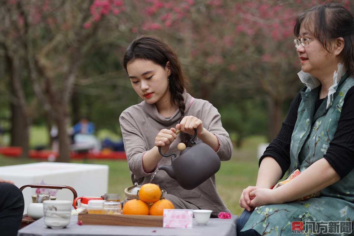 小小茶師12年後化身妙齡茶師續茶緣