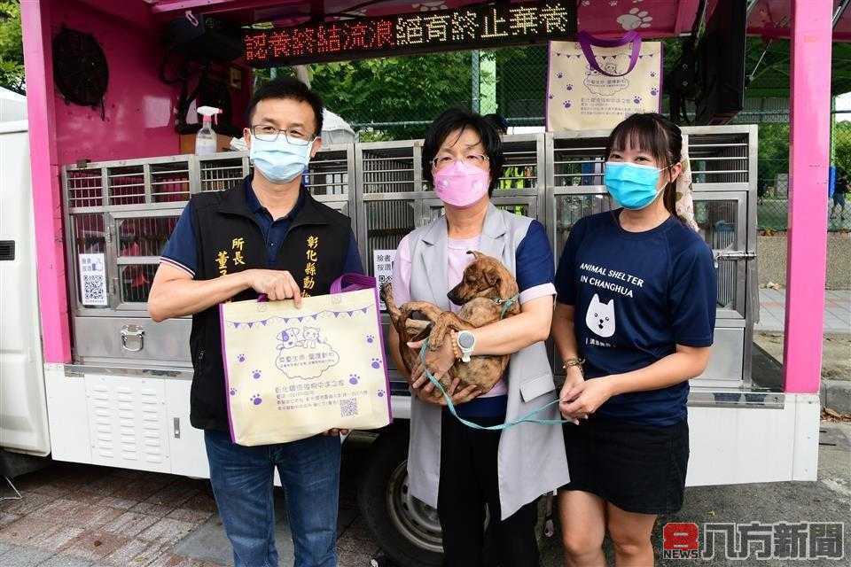 2023花在彰化活動 寵物認養專車流浪犬認養隻數31隻為歷年新高