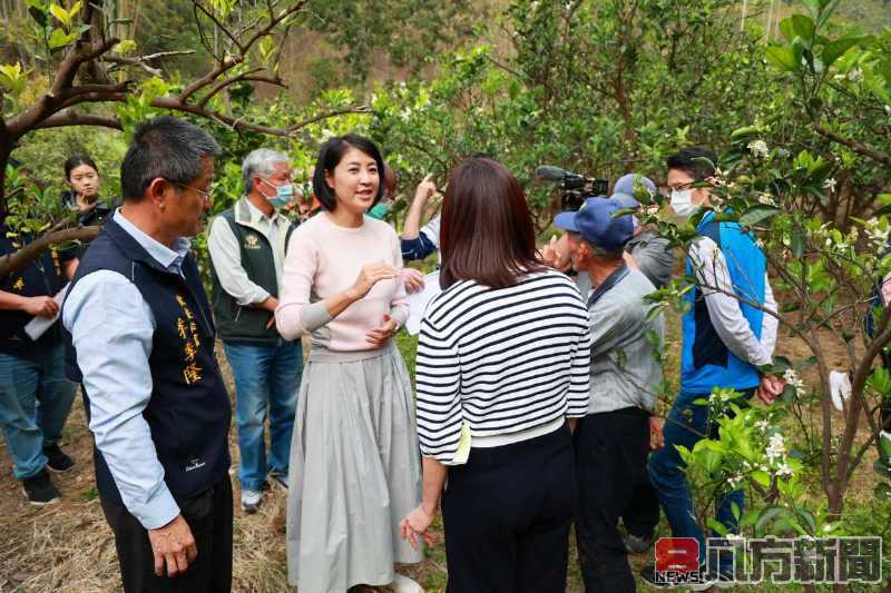 許縣長實地勘查排水溝及野溪狀況 規畫143萬元護岸工程保障果園及農民安全