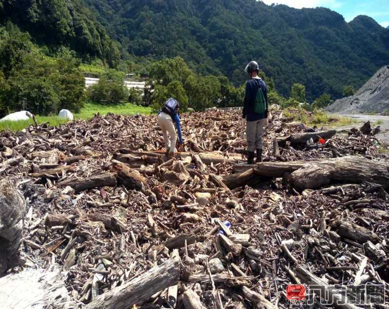 南投、彰化及雲林自即日起開放濁水溪流域漂流木撿拾