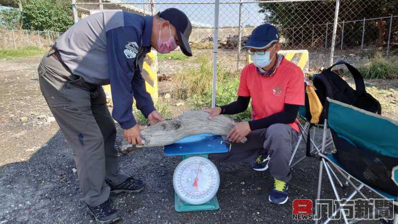 南投、彰化及雲林自即日起開放濁水溪流域漂流木撿拾