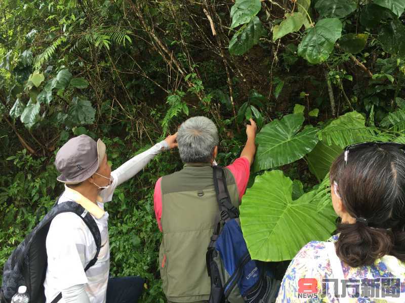 前進南投侏儸紀公園 澀水社區