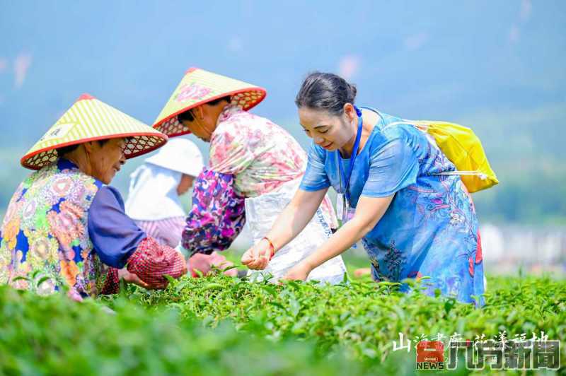 兩岸融媒體採訪團賞幽蘭 創業達人分享臺資臺技助力清流蘭花王國