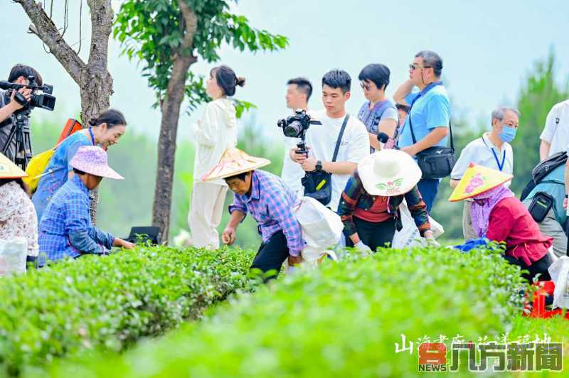 兩岸融媒體採訪團賞幽蘭 創業達人分享臺資臺技助力清流蘭花王國