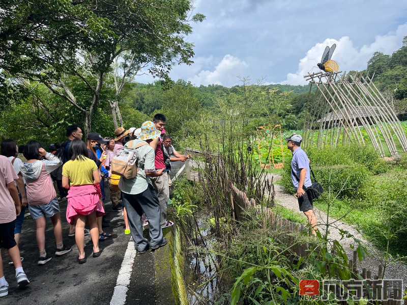 國土綠網 共創生態共好 迎來蝴蝶王國