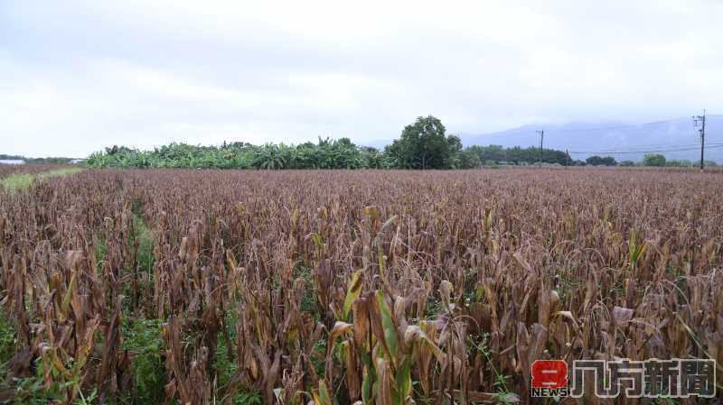 杜蘇芮颱風尚未遠離 縣長徐榛蔚、立委傅崐萁前往視察 關心受災鄉親