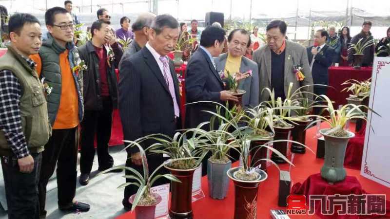 廣州蘭花文化園 兩岸一家親的蘭花之家